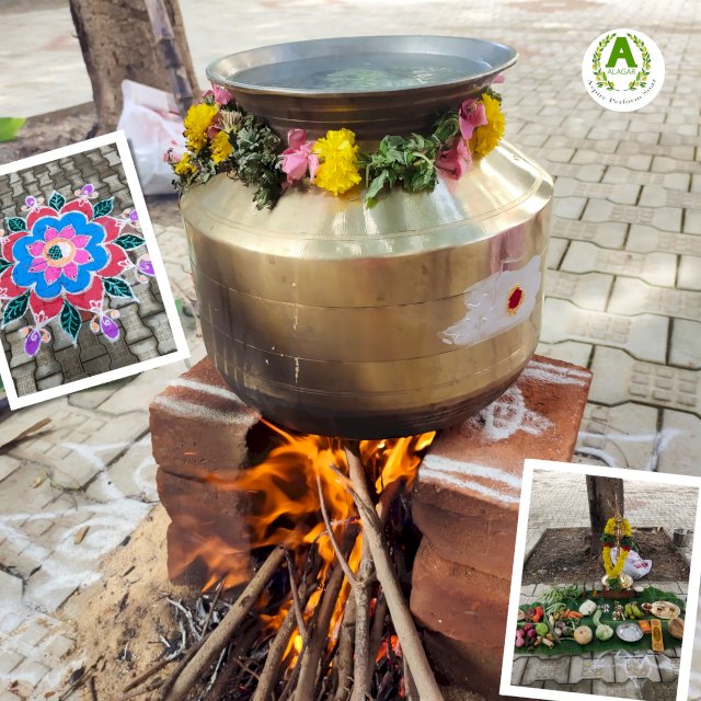 Pongal