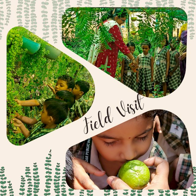 Field Visit